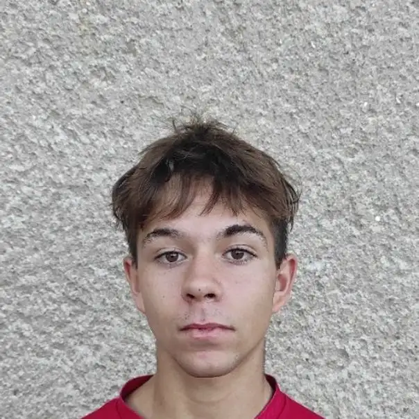 Dominik Samek