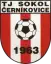 Sokol Černíkovice